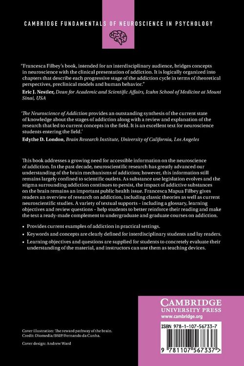 Produktbild: The Neuroscience of Addiction