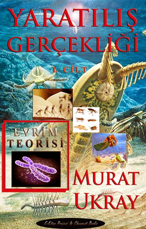 Produktbild: Yaratilis Ger&ccedil;ekligi-I