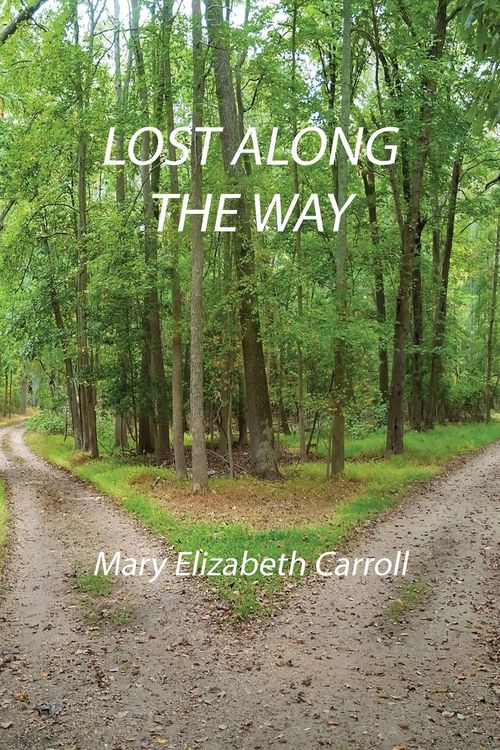 Produktbild: Lost Along the Way