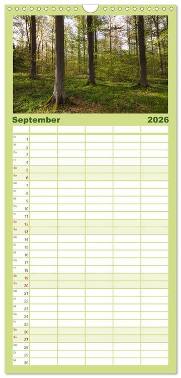 Produktbild: Familienplaner 2026 - Magischer Harzwald mit 5 Spalten (Wandkalender, 21 x 45 cm) CALVENDO