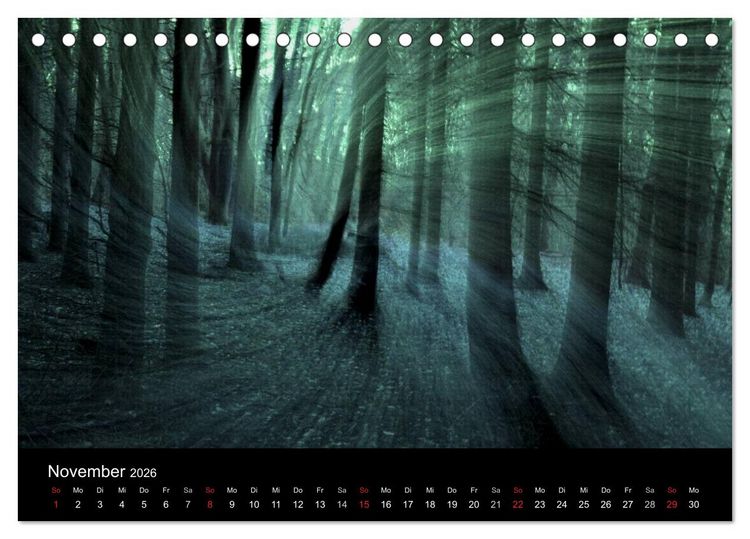 Produktbild: Magischer Wald (Tischkalender 2026 DIN A5 quer), CALVENDO Monatskalender
