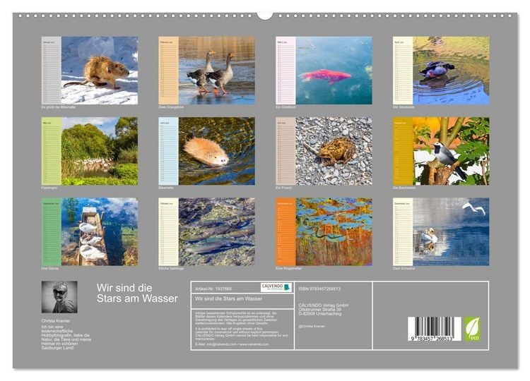 Produktbild: Wir sind die Stars am Wasser (hochwertiger Premium Wandkalender 2026 DIN A2 quer), Kunstdruck in Hochglanz