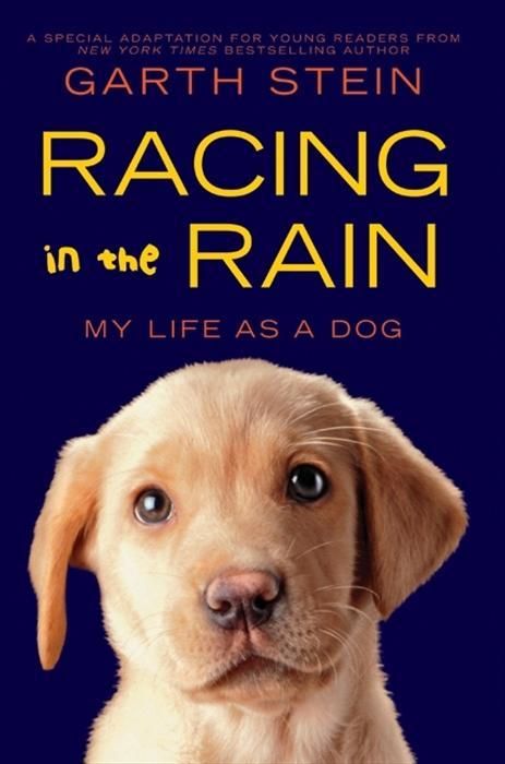 Produktbild: Racing in the Rain