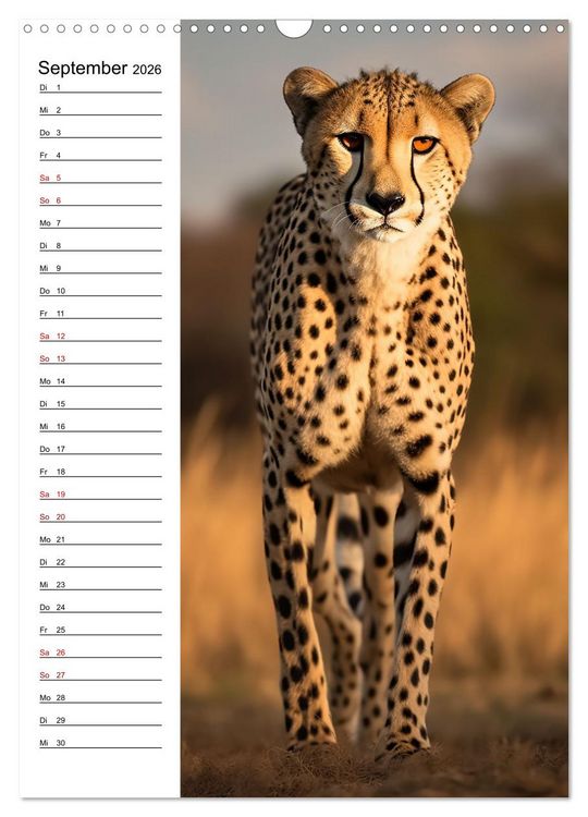 Produktbild: Ganz von vorn (Wandkalender 2026 DIN A3 hoch), CALVENDO Monatskalender