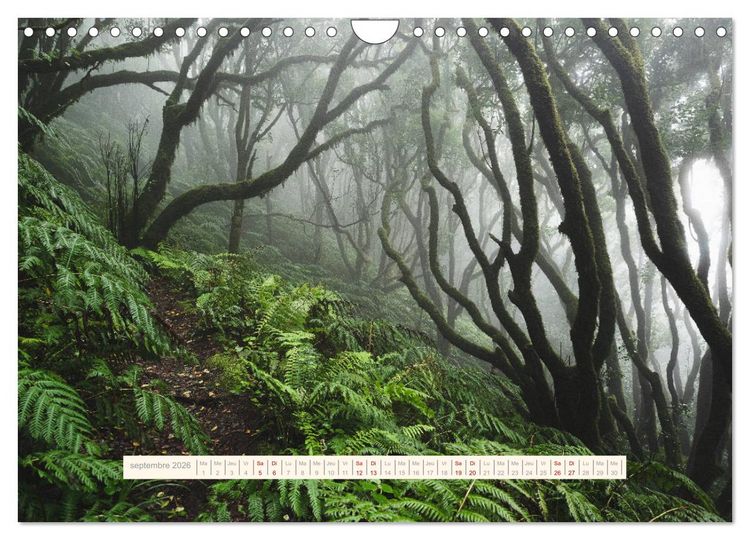 Produktbild: La Magie de T&eacute;n&eacute;riffe (Calendrier mural 2026 DIN A4 vertical), CALVENDO calendrier mensuel