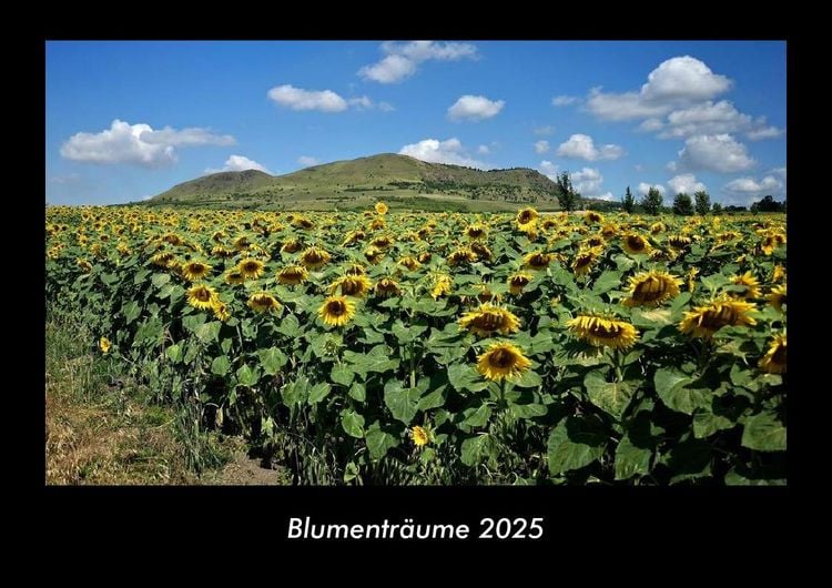 Produktbild: Blumentr&auml;ume 2025 Fotokalender DIN A3
