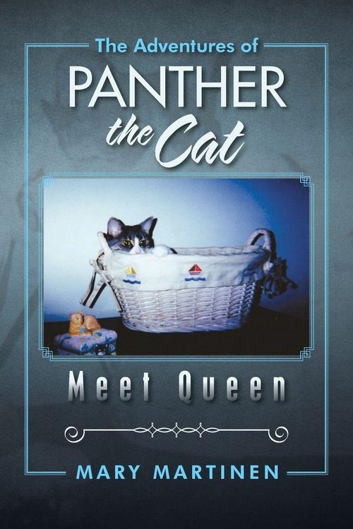 Produktbild: The Adventures of Panther the Cat