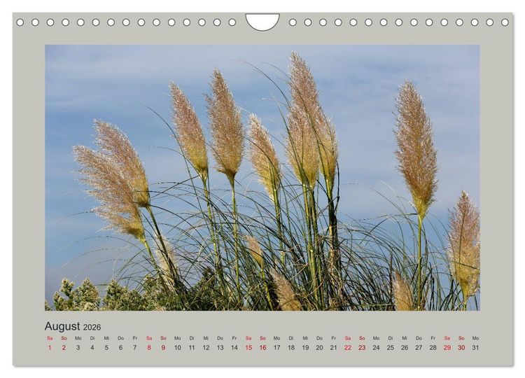 Produktbild: Urlaubsreise durch Frankreich (Wandkalender 2026 DIN A4 quer), CALVENDO Monatskalender