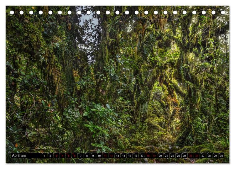 Produktbild: Trauminseln Neuseeland (Tischkalender 2026 DIN A5 quer), CALVENDO Monatskalender