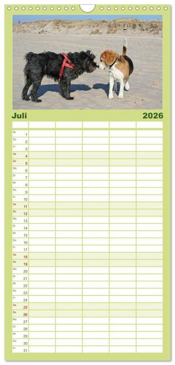 Produktbild: Familienplaner 2026 - Beagle mit 5 Spalten (Wandkalender, 21 x 45 cm) CALVENDO