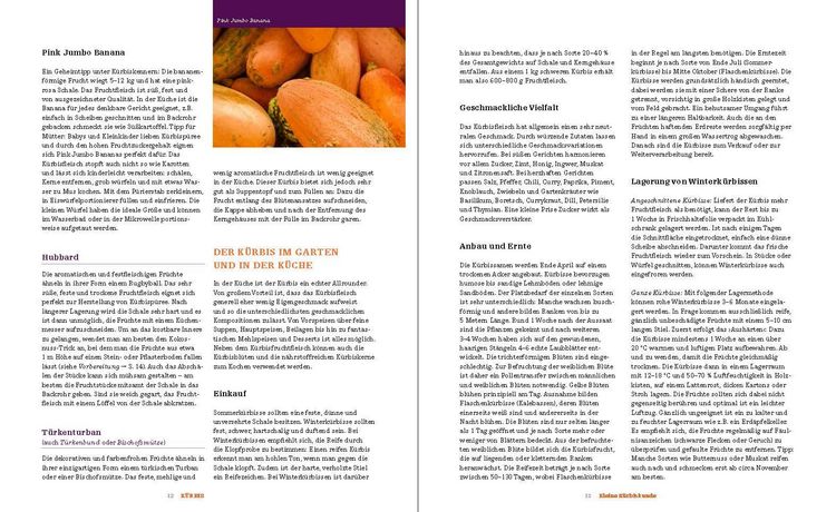 Produktbild: K&uuml;rbis: 120 geniale Rezeptideen