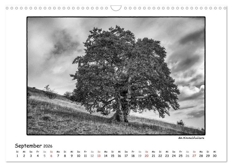 Produktbild: RH&Ouml;N SCHWARZ-WEISS (Wandkalender 2026 DIN A3 quer), CALVENDO Monatskalender