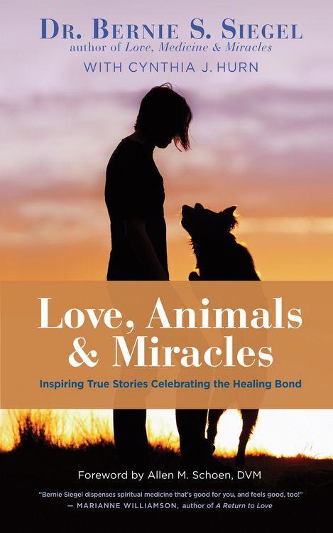 Produktbild: Love, Animals, and Miracles