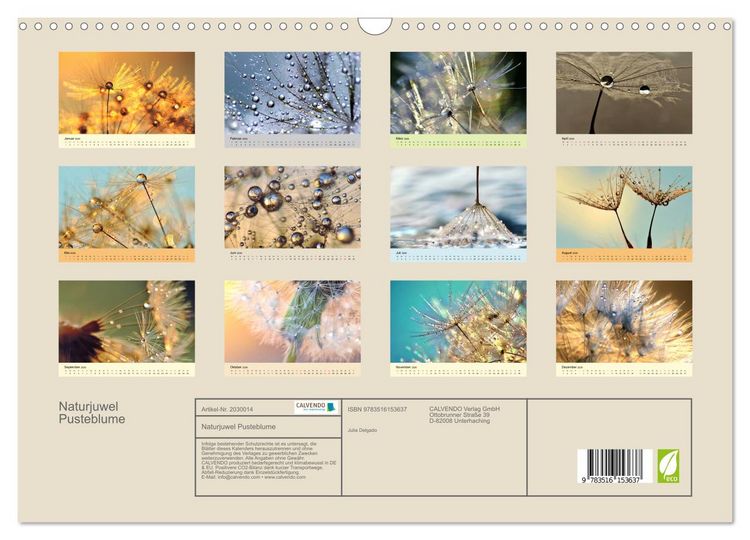 Produktbild: Naturjuwel Pusteblume (Wandkalender 2026 DIN A3 quer), CALVENDO Monatskalender