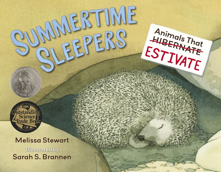 Produktbild: Summertime Sleepers