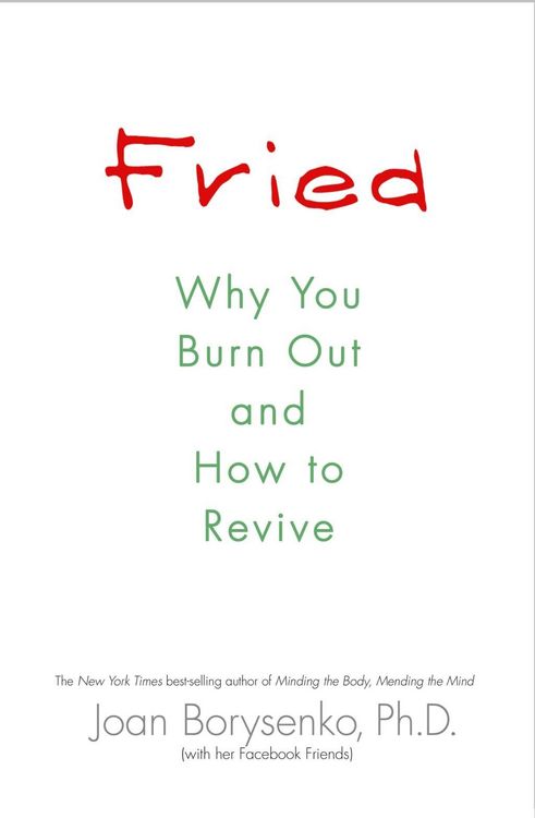 Produktbild: Fried