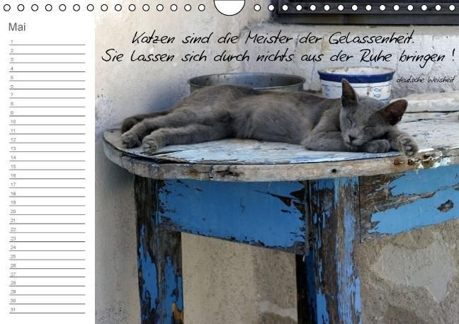 Produktbild: Befl&uuml;gelt (Wandkalender immerw&auml;hrend DIN A4 quer)