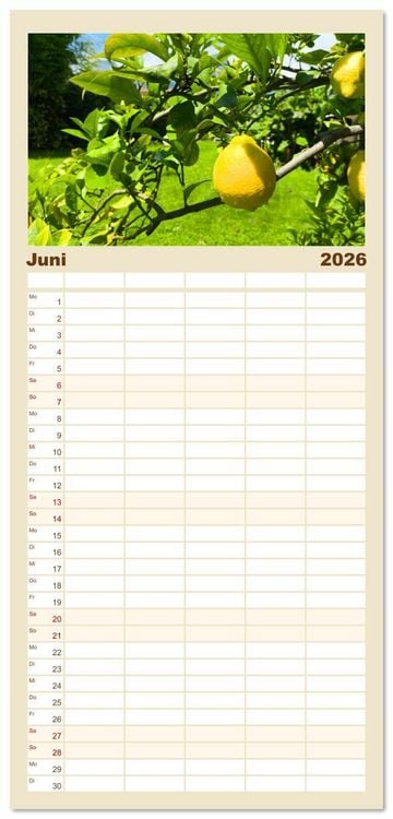 Produktbild: Familienplaner 2026 - Limone sul Garda - Die Heimat der Zitrone am Gardasee mit 5 Spalten (Wandkalender, 21 x 45 cm) CALVENDO