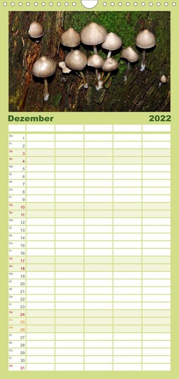Produktbild: Familienplaner Pilze, Pilze (Wandkalender 2022 , 21 cm x 45 cm, hoch)