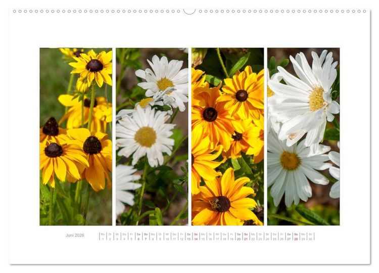 Produktbild: Gartenfreude (Wandkalender 2026 DIN A2 quer), CALVENDO Monatskalender