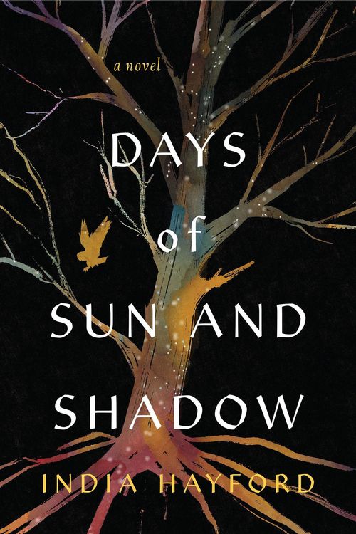 Produktbild: Days of Sun and Shadow