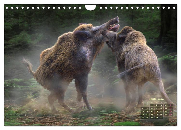 Produktbild: WILDE TIERE IN AKTION (Wandkalender 2026 DIN A4 quer), CALVENDO Monatskalender