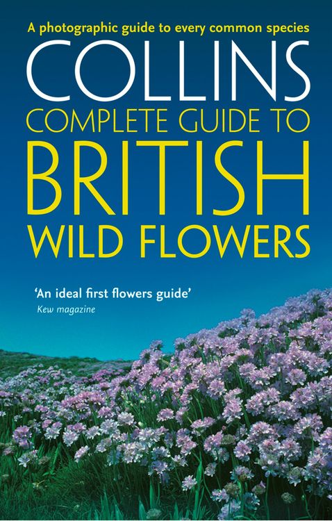 Produktbild: British Wild Flowers