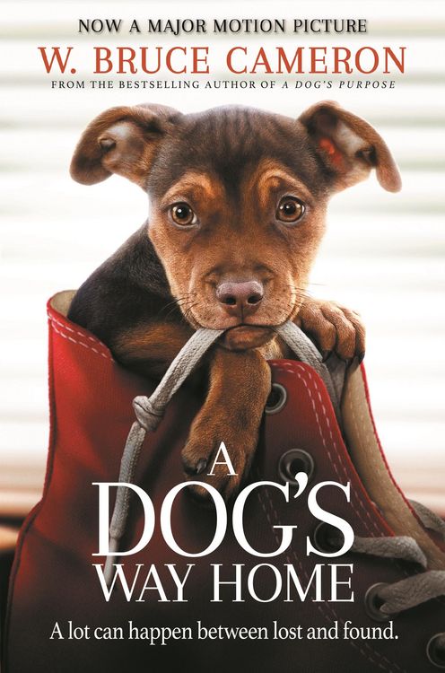 Produktbild: A Dog's Way Home