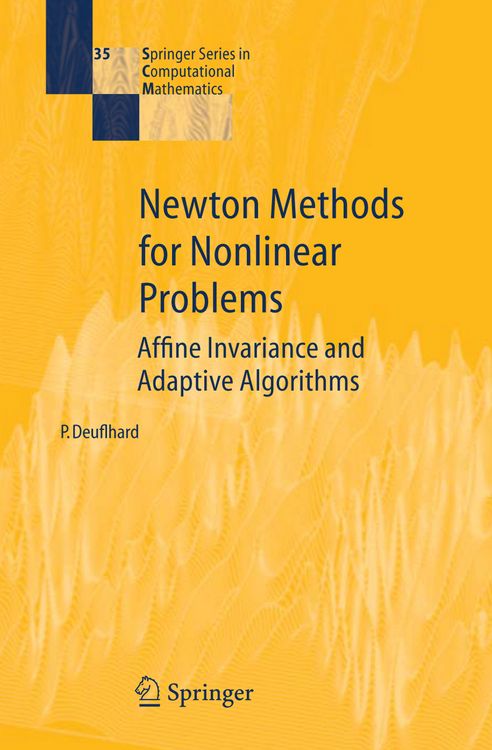 Produktbild: Newton Methods for Nonlinear Problems