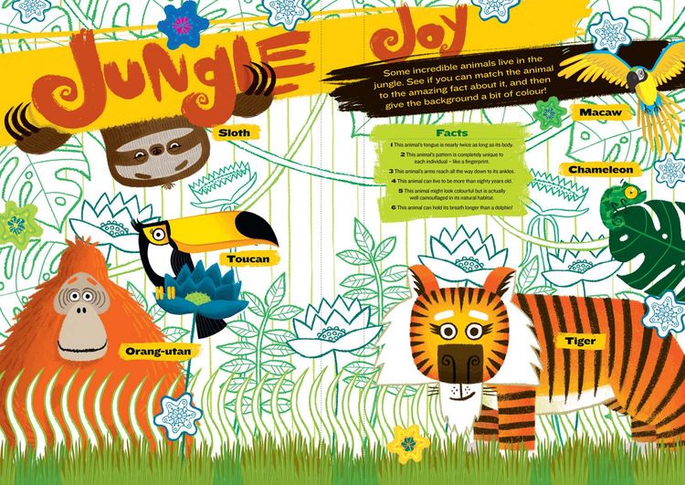 Produktbild: DRAW WITH ROB AMAZING ANIMA PB