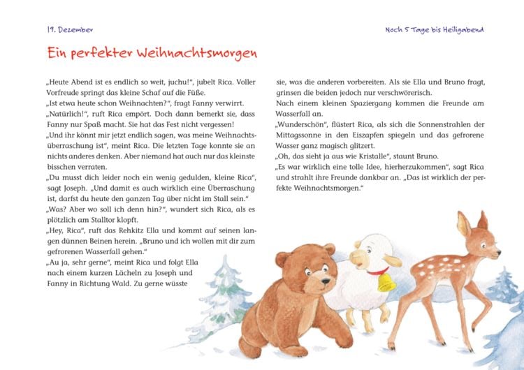 Produktbild: Ein Weihnachtsgeschenk f&uuml;r Rica