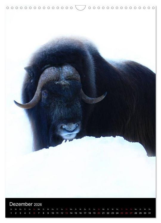 Produktbild: Wildlife 2026 (Wandkalender 2026 DIN A3 hoch), CALVENDO Monatskalender