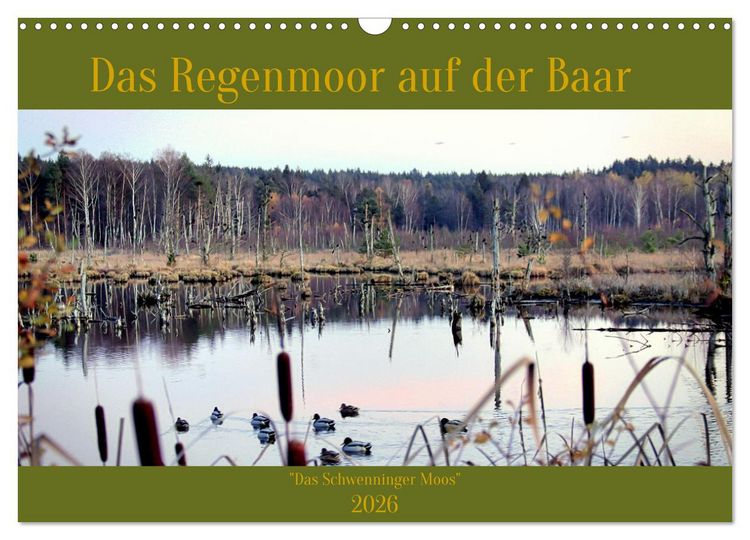 Produktbild: Das Regenmoor auf der Baar (Wandkalender 2026 DIN A3 quer), CALVENDO Monatskalender