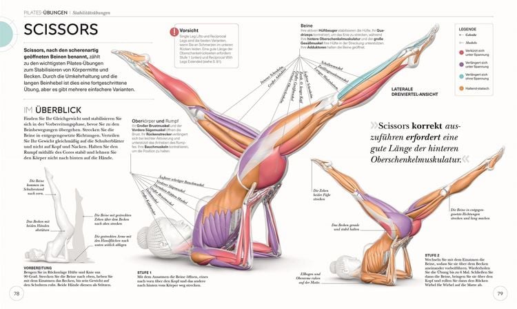 Produktbild: Pilates - Die Anatomie verstehen