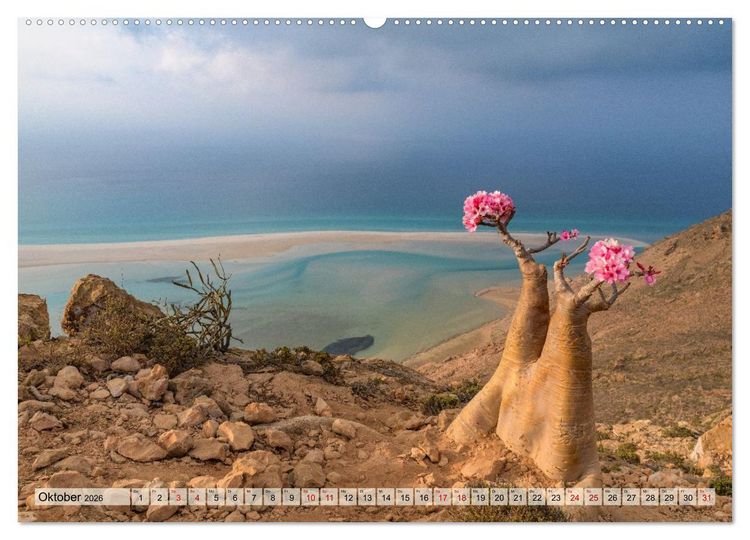 Produktbild: SOKOTRA - Magische Insel (hochwertiger Premium Wandkalender 2026 DIN A2 quer), Kunstdruck in Hochglanz