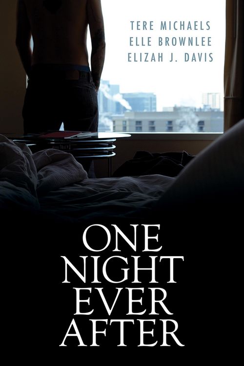 Produktbild: One Night Ever After