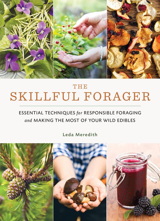 Produktbild: The Skillful Forager
