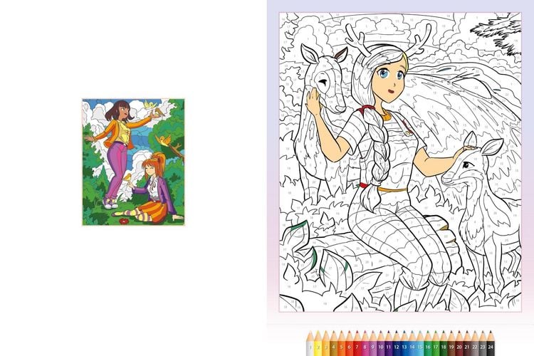 Produktbild: Malen nach Zahlen Manga