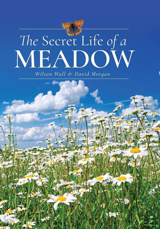 Produktbild: Secret Life of a Meadow