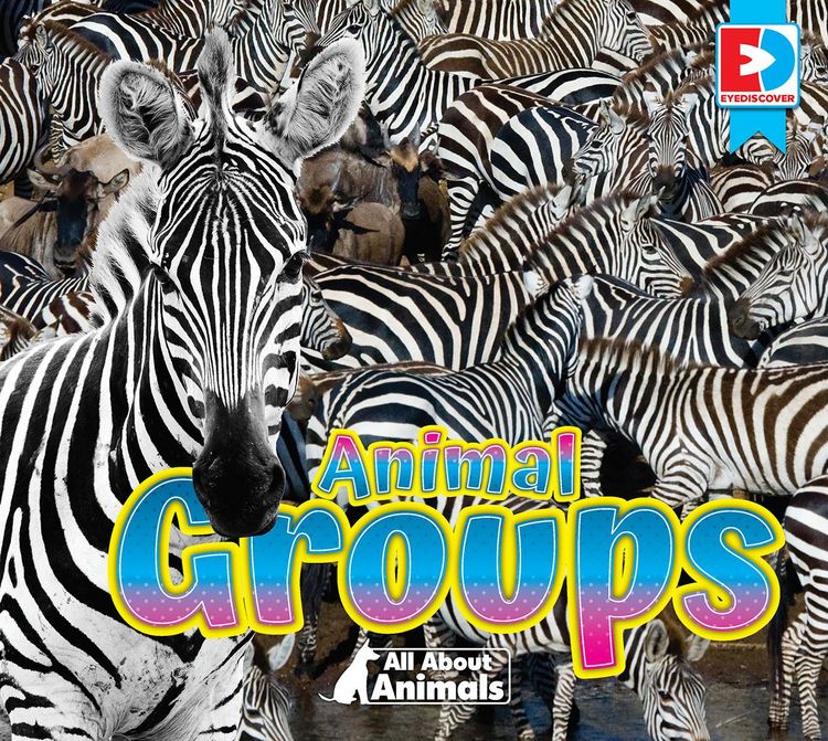 Produktbild: All About Animals - Animal Groups