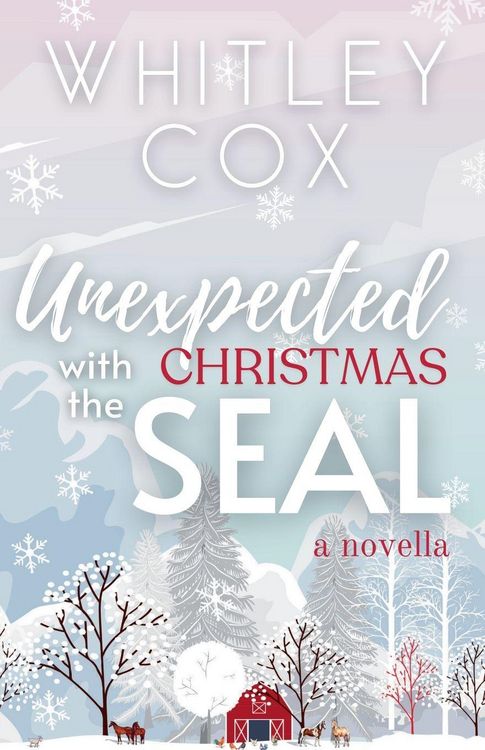 Produktbild: Unexpected Christmas with the SEAL