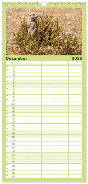 Produktbild: Familienplaner 2026 - Afrikas Tierwelt - Erdm&auml;nnchen mit 5 Spalten (Wandkalender, 21 x 45 cm) CALVENDO