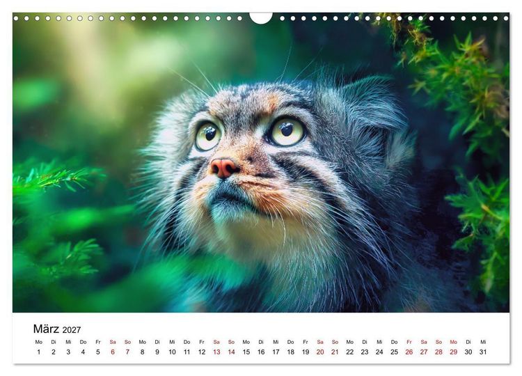 Produktbild: Gegen alles! - Pallaskatzen in ihrer Welt (Wandkalender 2027 DIN A3 quer), CALVENDO Monatskalender