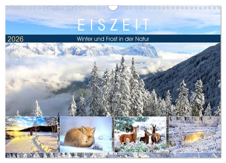 Produktbild: Eiszeit. Winter und Frost in der Natur (Wandkalender 2026 DIN A3 quer), CALVENDO Monatskalender