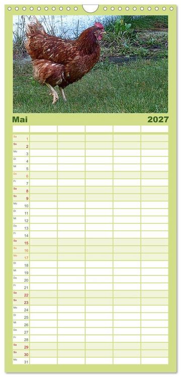 Produktbild: Familienplaner 2027 - Die H&uuml;hner sind los! mit 5 Spalten (Wandkalender, 21 x 45 cm) CALVENDO