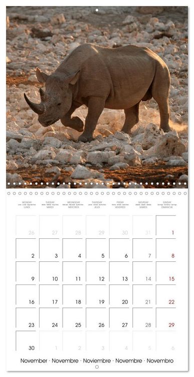 Produktbild: Namibian Adventure (Wall Calendar 2026 12 &times; 12 Inch) CALVENDO 12 Month Wall Calendar