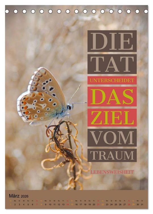 Produktbild: Aktiviere Deine Motivation Weisheiten und Spr&uuml;che (Tischkalender 2026 DIN A5 hoch), CALVENDO Monatskalender
