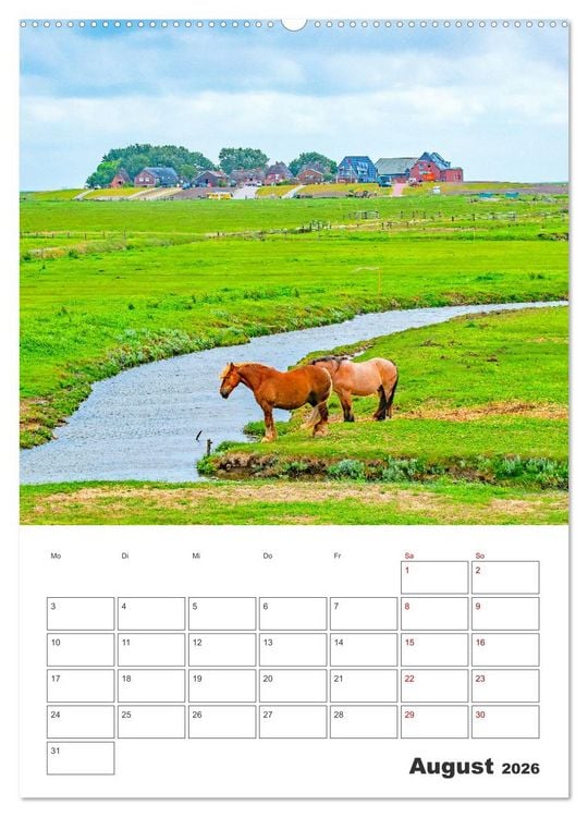 Produktbild: Hallig Hooge - Reiseplaner (Wandkalender 2026 DIN A2 hoch), CALVENDO Monatskalender
