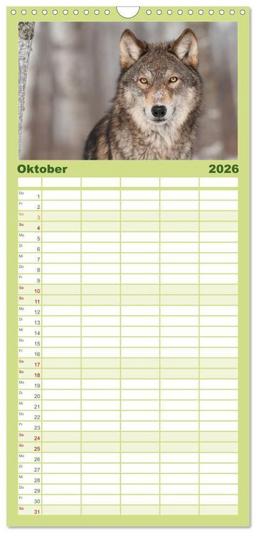 Produktbild: Familienplaner 2026 - W&ouml;lfe. Verwegene Anmut mit 5 Spalten (Wandkalender, 21 x 45 cm) CALVENDO