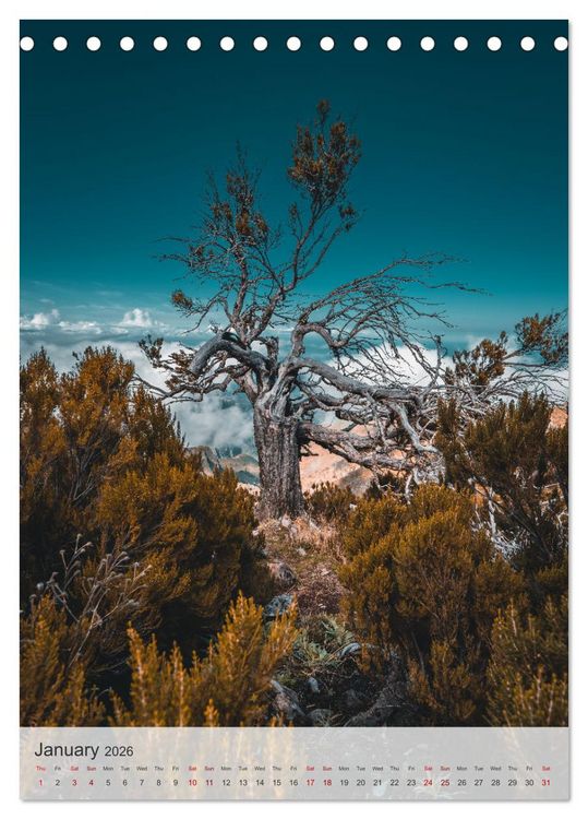 Produktbild: The Flower Island Madeira (Desk Calendar 2026 DIN A5 portrait), CALVENDO 12 Month DeskCalendar